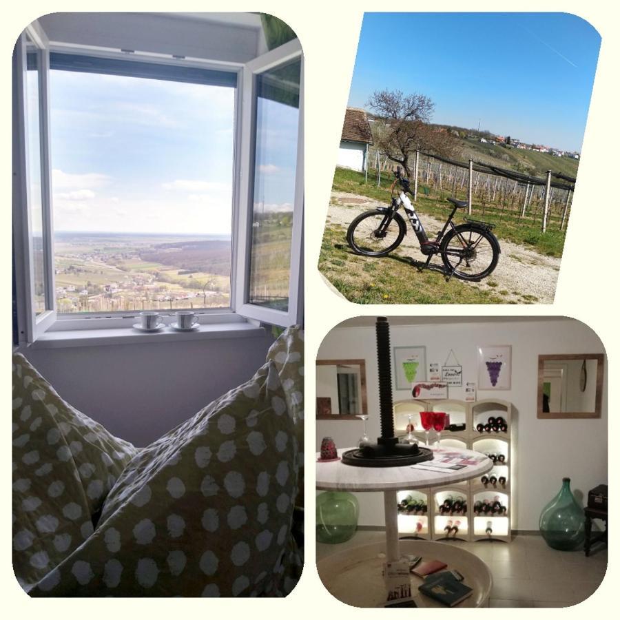 Ferienhaus Szapary II Eisenberg an der Pinka Екстериор снимка