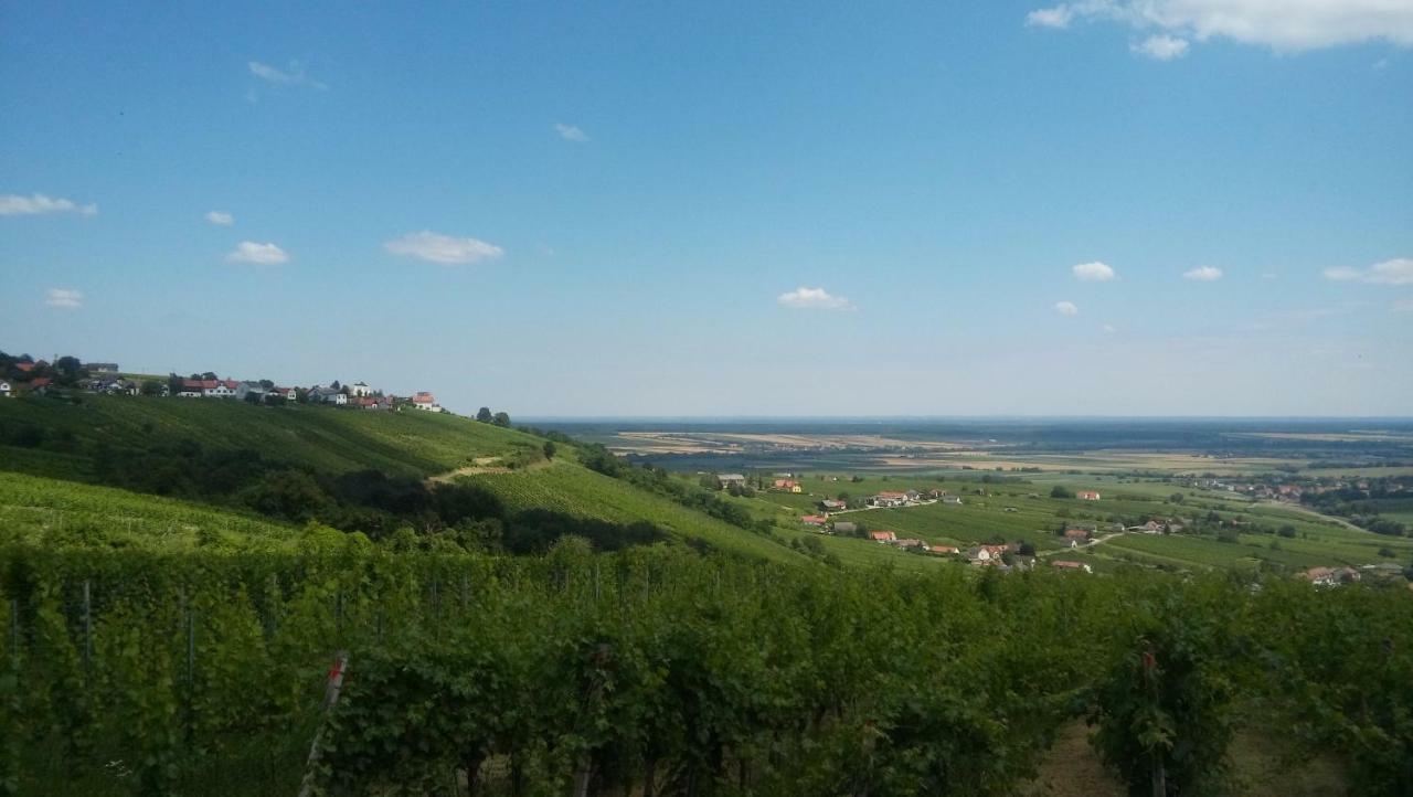 Ferienhaus Szapary II Eisenberg an der Pinka Екстериор снимка