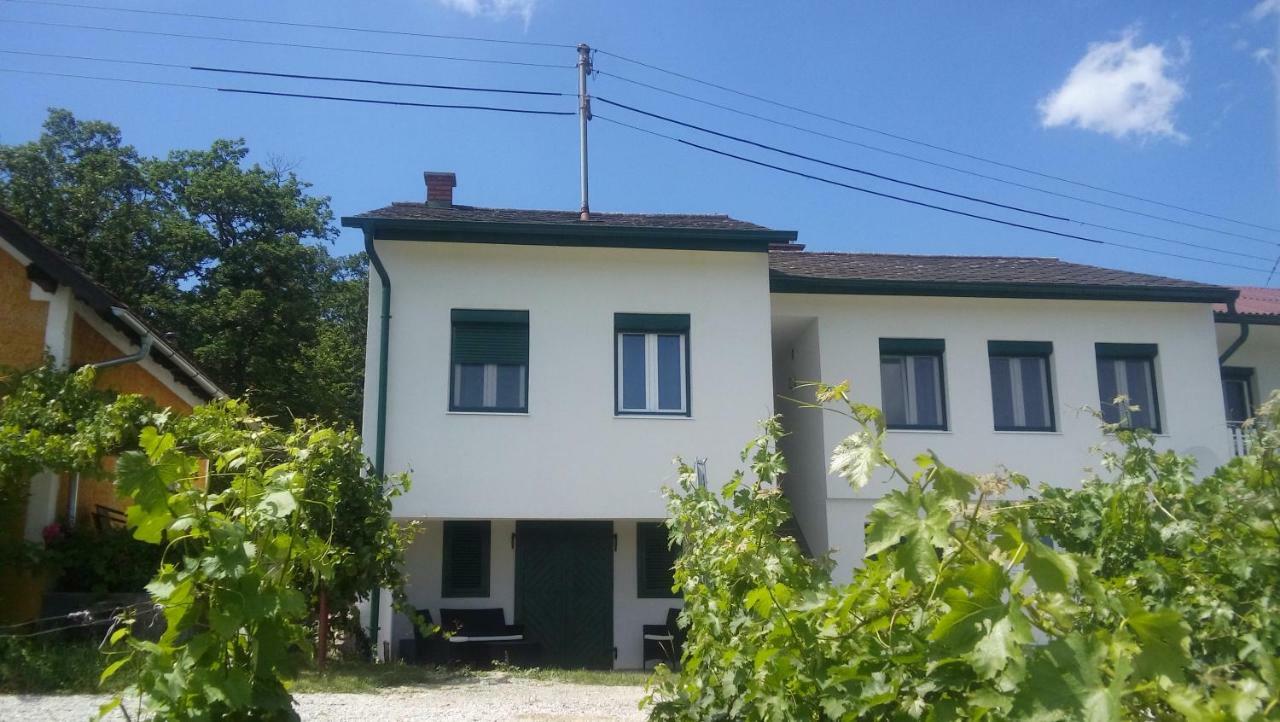 Ferienhaus Szapary II Eisenberg an der Pinka Екстериор снимка