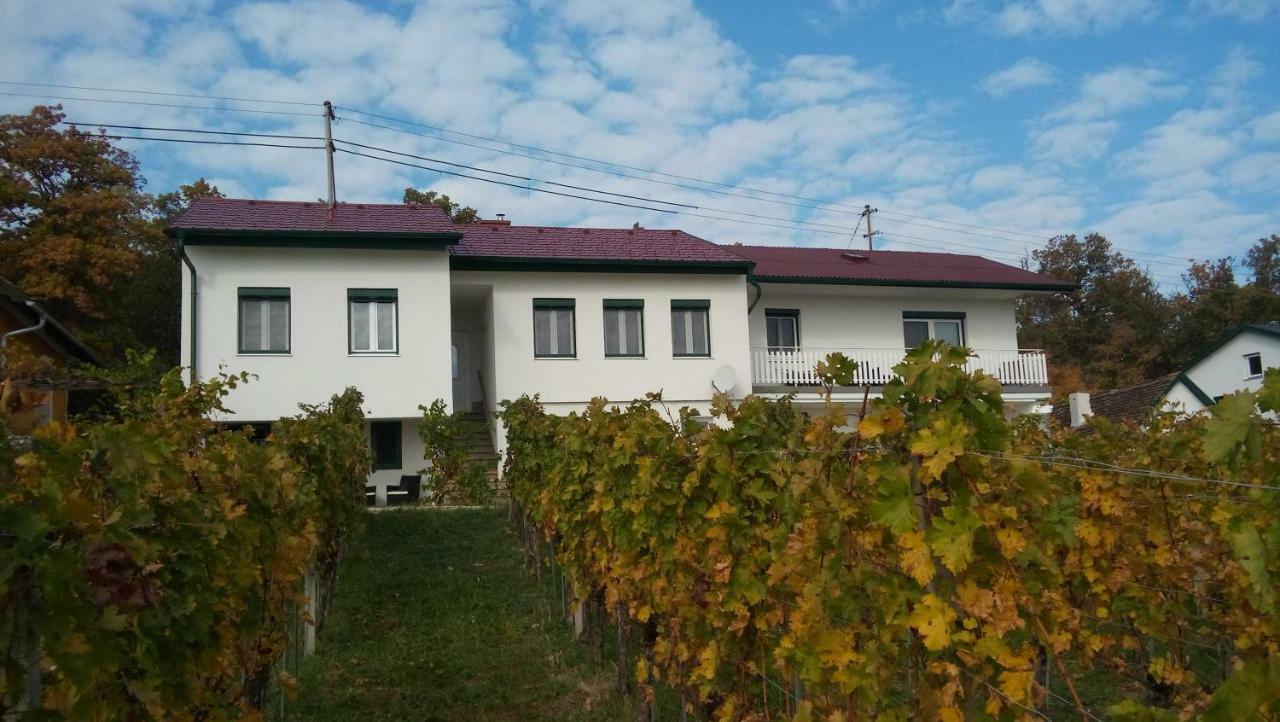 Ferienhaus Szapary II Eisenberg an der Pinka Екстериор снимка