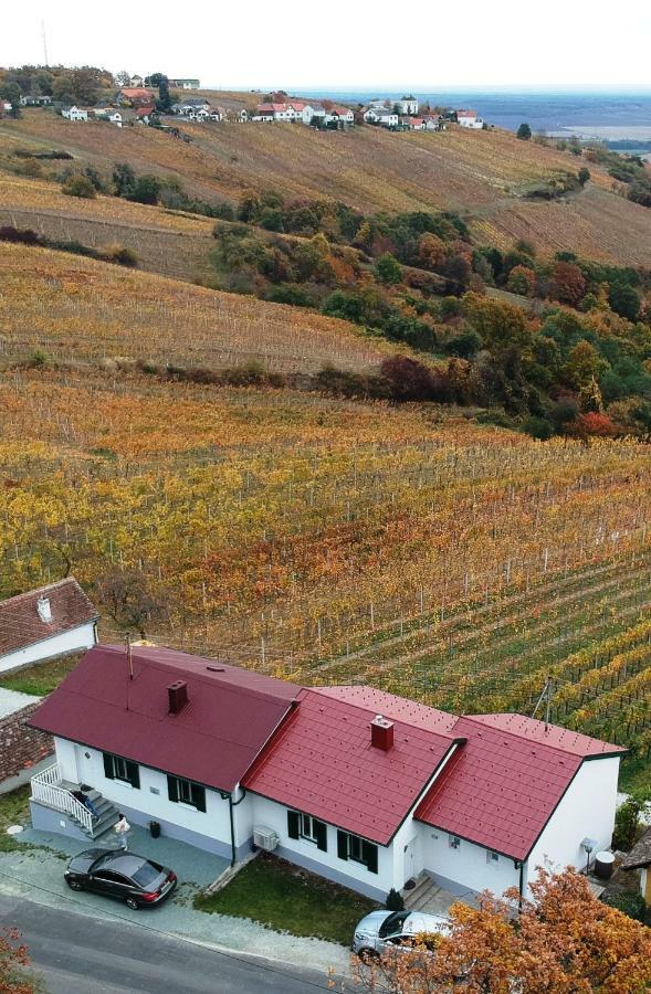 Ferienhaus Szapary II Eisenberg an der Pinka Екстериор снимка